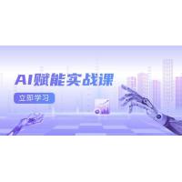 (12.15)AI赋能实战课：Excel和PPT制作、AI绘画、打造爆款文案、实现流量变现