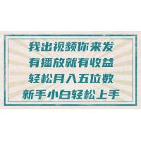 (12.15)不剪辑不直播不露脸，有播放就有收益，轻松月入五位数，新手小白轻松上手