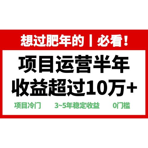 (12.15)年前过肥年的必看的超冷门项目，半年收益超过10万+