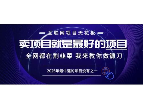 (12.15)2025年普通人如何通过“知识付费”卖项目年入“百万”镰刀训练营超级IP