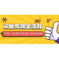 (12.16)闲鱼变现全流程：你从零到一, 打造爆款, 提升流量，助你稳定盈利