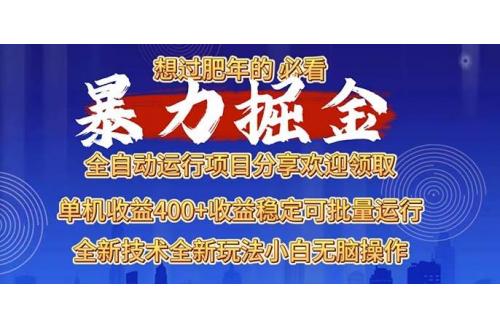 (12.16)2025暴力掘金项目，想过肥年必看！
