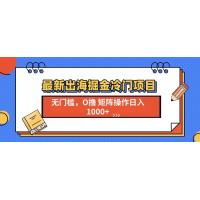 (12.16)最新出海掘金冷门项目，单号日入1000+