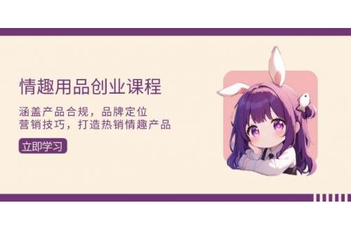 (12.17)情趣用品创业课程：涵盖产品合规，品牌定位，营销技巧，打造热销情趣产品