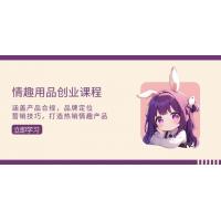 (12.17)情趣用品创业课程：涵盖产品合规，品牌定位，营销技巧，打造热销情趣产品