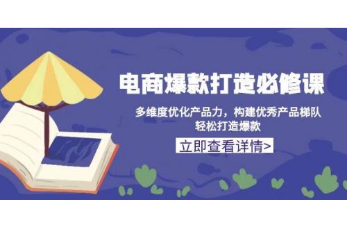 (12.18)电商爆款打造必修课：多维度优化产品力，构建优秀产品梯队，轻松打造爆款