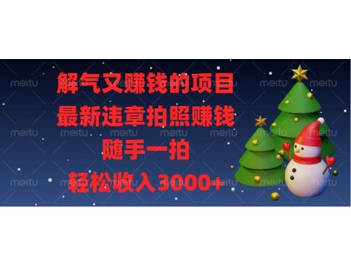 (12.18)解气又赚钱的项目，最新违章拍照赚钱，随手一拍，轻松收入3000+