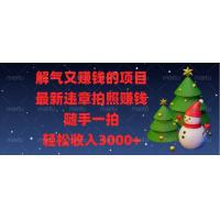 (12.18)解气又赚钱的项目，最新违章拍照赚钱，随手一拍，轻松收入3000+