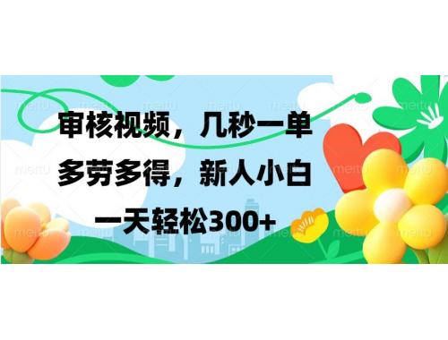 (12.20)视频审核，新手可做，多劳多得，新人小白一天轻松300+