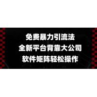(12.22)免费暴力引流法，全新平台，背靠大公司，软件矩阵轻松操作