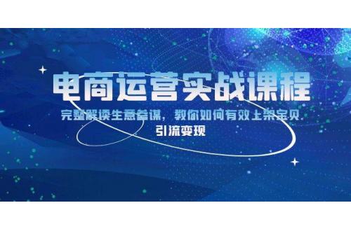 (12.24)电商运营实战课程：完整解读生意参谋，教你如何有效上架宝贝，引流变现
