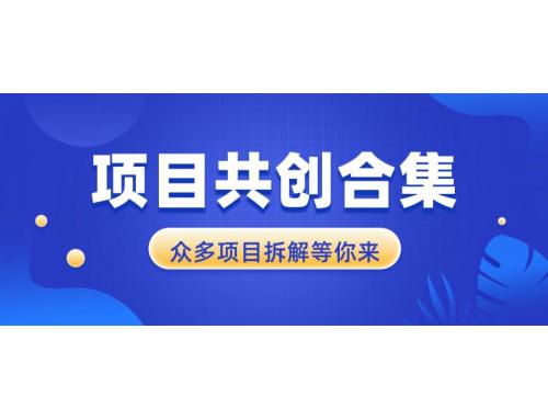 (12.25)项目共创合集，从0-1全过程拆解，让你迅速找到适合自已的项目