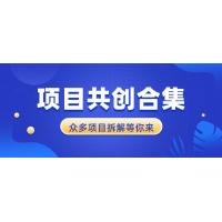 (12.25)项目共创合集，从0-1全过程拆解，让你迅速找到适合自已的项目