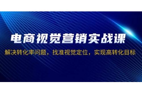 (12.26)电商视觉营销实战课，解决转化率问题，找准视觉定位，实现高转化目标