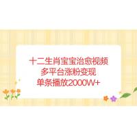 (12.29)十二生肖宝宝治愈视频，多平台涨粉变现，单条播放2000W+