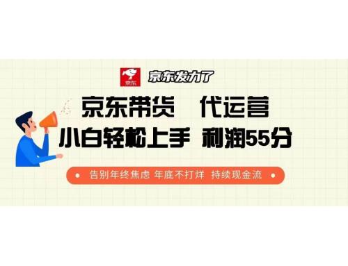 (12.29)京东带货 代运营 利润55分 告别年终焦虑 年底不打烊 持续现金流