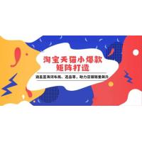 (1.3)淘宝天猫小爆款矩阵打造：涵盖蓝海词布局、选品等，助力店铺销量飙升