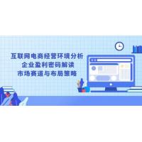 (1.3)互联网电商经营环境分析, 企业盈利密码解读, 市场赛道与布局策略