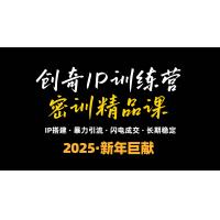(1.4)2025年“知识付费IP训练营”小白避坑年赚百万，暴力引流，闪电成交