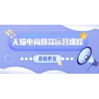 (1.6)天猫电商爆款运营课程，爆款卖点提炼与流量实操，多套模型全面学习
