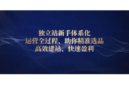 (1.7)独立站新手体系化 运营全过程，助你精准选品、高效建站、快速盈利