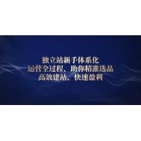 (1.7)独立站新手体系化 运营全过程，助你精准选品、高效建站、快速盈利
