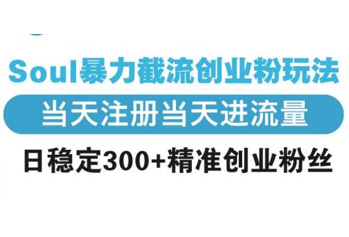 (1.9)Soul暴力截流创业粉玩法，当天注册当天进流量，日稳定300+精准创业粉丝