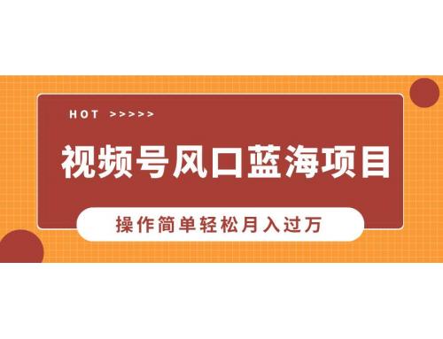 (1.10)视频号风口蓝海项目，中老年人的流量密码，操作简单轻松月入过万