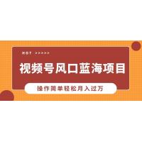 (1.10)视频号风口蓝海项目，中老年人的流量密码，操作简单轻松月入过万