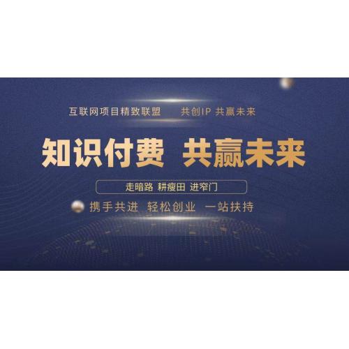 (1.10)2025年 如何通过 “知识付费” 卖项目月入十万、年入百万，2025布局