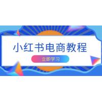 (1.11)小红书电商教程，掌握帐号定位与内容创作技巧，打造爆款，实现商业变现