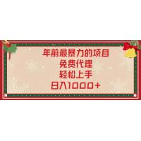 (1.11)年前最暴力的项目，免费代理，轻松上手，日入1000+