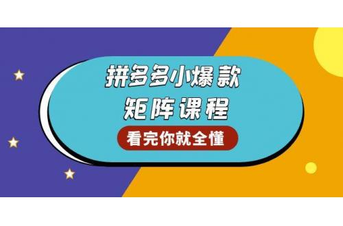 (1.14)拼多多爆款矩阵课程：教你测出店铺爆款，优化销量，提升GMV，打造爆款群