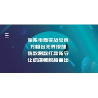 (1.16)淘系电商实战宝典：万相台无界投放，选款测款打款防守，让你店铺脱颖而出