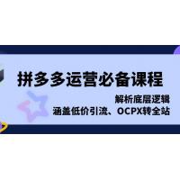 (1.16)拼多多运营必备课程，解析底层逻辑，涵盖低价引流、OCPX转全站