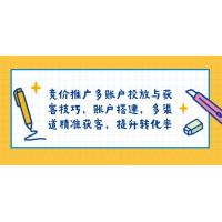 (1.18)竞价推广多账户投放与获客技巧，账户搭建，多渠道精准获客，提升转化率