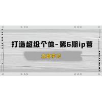 (1.23)打造超级个体-第6期ip营：商业认知,产品设计,成交演练,解决知识变现难题