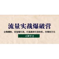 (1.26)流量实战爆破营：企微爆粉、百宝箱引流，打造高效引流体系，月增收万元