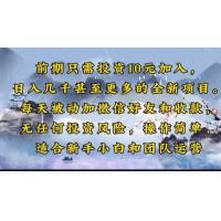 (1.27)前期只需投资10元加入，日入几千甚至更多的全新项目。每天被动加微信好