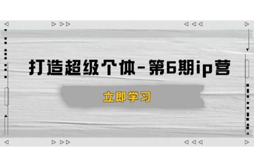 (2.5)打造 超级个体-第6期ip营：商业认知,产品设计,成交演练,解决知识变现难题