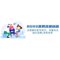 (2.10)BS直聘流量秘籍，全面解析起号技巧、流量玩法，提升招聘/求职效率