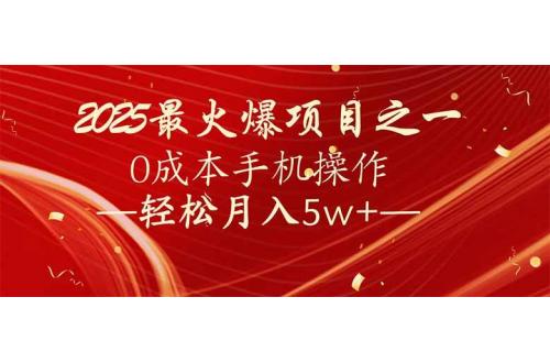 (2.11)7天赚了2.6万，2025利润超级高！0成本手机操作轻松月入5w+
