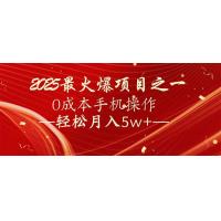 (2.11)7天赚了2.6万，2025利润超级高！0成本手机操作轻松月入5w+