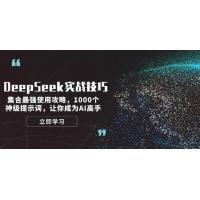 (2.13)DeepSeek实战技巧：集合最强使用攻略，1000个神级提示词，让你成为AI高手