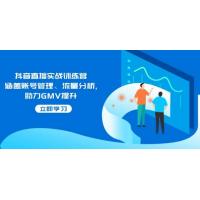 (2.13)抖音直播实战训练营：涵盖账号管理、流量分析, 助力GMV提升