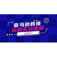 (2.17)亚马逊跨境运营实战课程：涵盖亚马逊运营、申诉、选品等多个方面