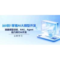 (2.23)从0到1掌握AI大模型开发，涵盖模型训练、RAG、Agent，助力转行AI开发