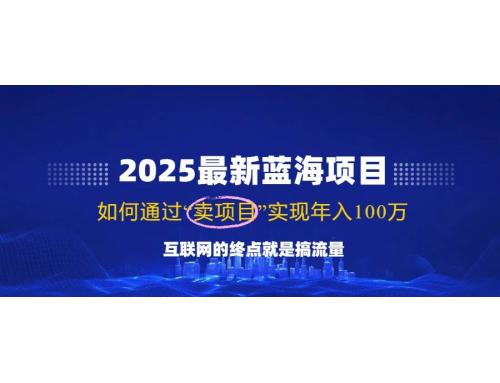 (2.26)2025最新蓝海项目，零门槛轻松复制，月入10万+，新手也能操作！