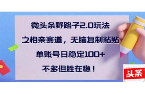 (2.28)微头条野路子2.0玩法之相亲赛道，无脑搬砖复制粘贴，单账号日稳定300+