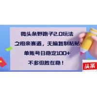 (2.28)微头条野路子2.0玩法之相亲赛道，无脑搬砖复制粘贴，单账号日稳定300+